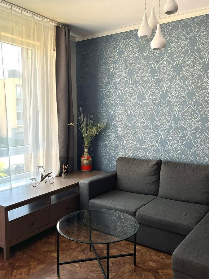 Exclusive Apartment In Vilnius Near Ozas And Technopolis מראה חיצוני תמונה